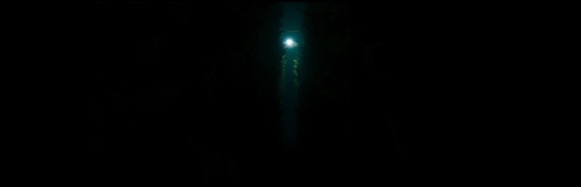 迷宫探险/Labyrinthine