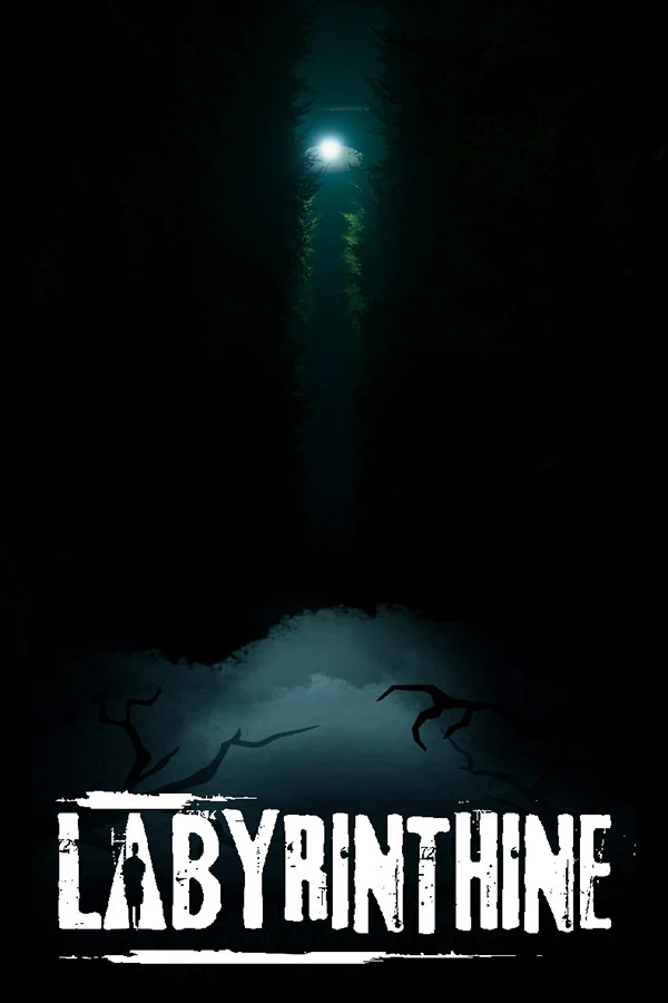 迷宫探险/Labyrinthine