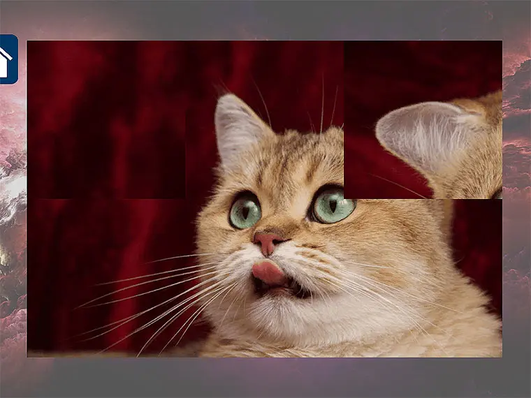 Funny Cats: Puzzle